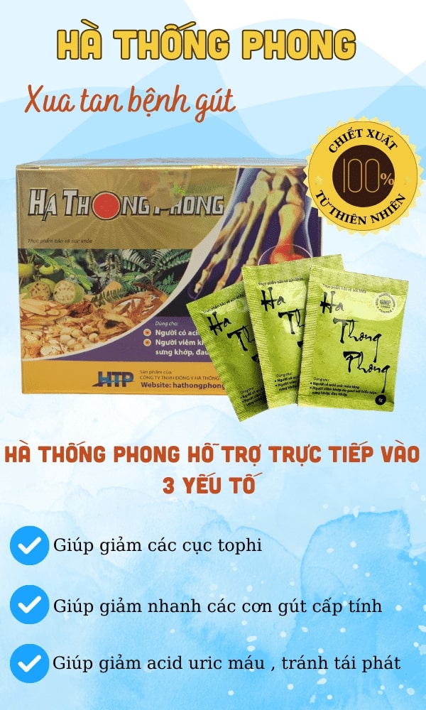Ha Thong Phong 1.1
